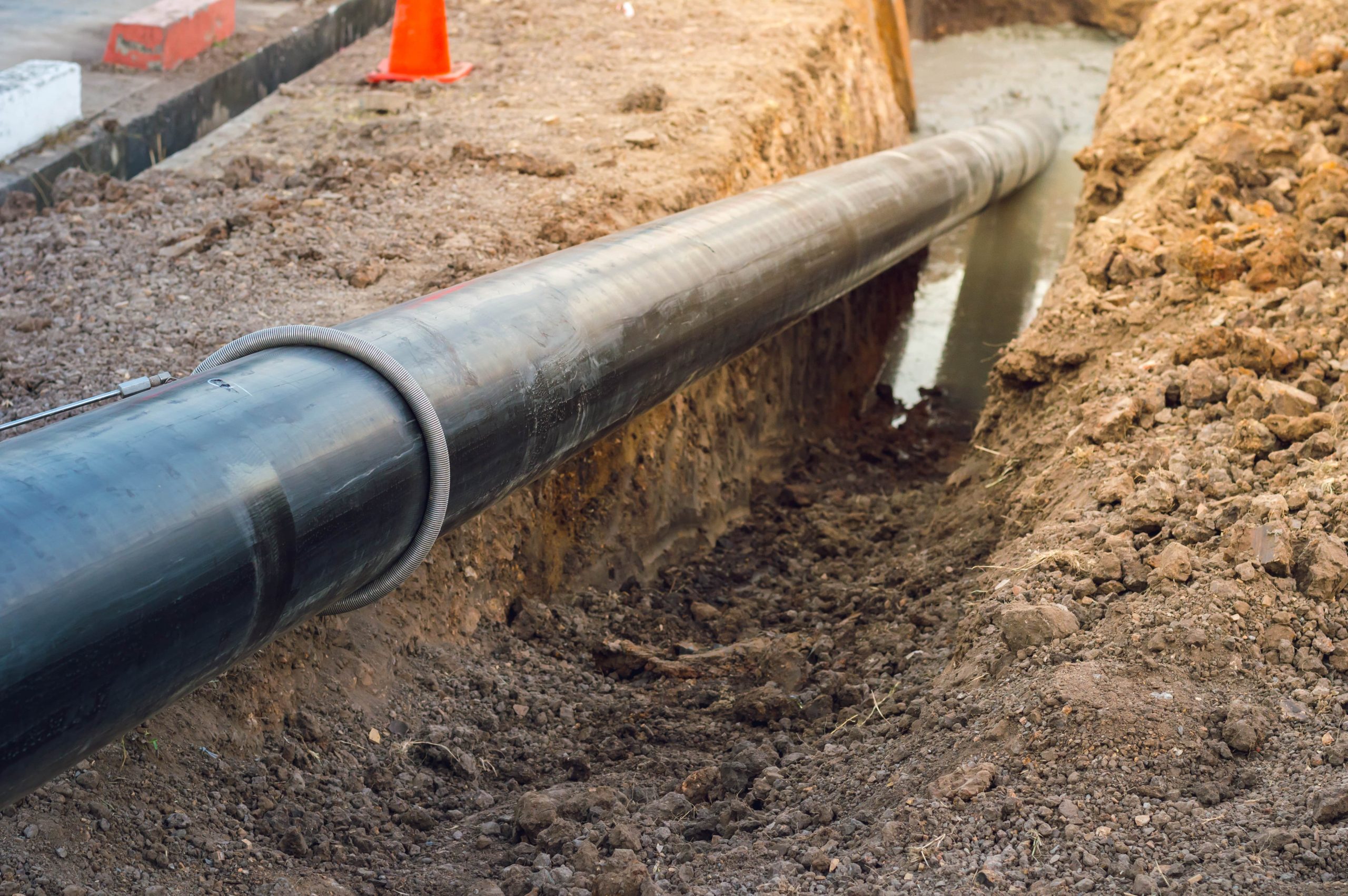 shutterstock_1422254342-min